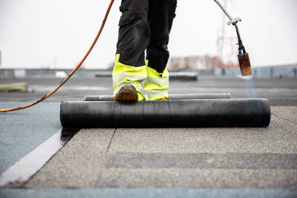 Best Gutter Installation and Repair  in Lake Forest Park, WA